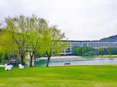 -上海佘山世茂艾美酒店