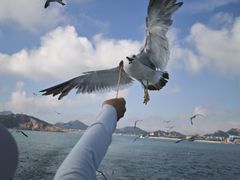 -海驴岛(荣成市)