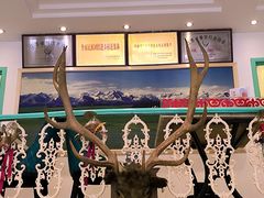 -阿拉丁新疆风味餐厅·清真(罗廊巷店)