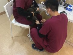 -芭比堂动物医院·CT·微创中心(新顺分院)