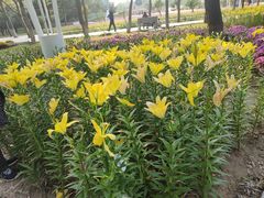 -石家庄市植物园