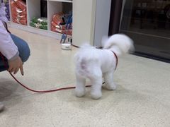 -萌兽医馆·宠物医院·猫骨科(创景店)