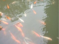 iphone_upload_pic-东湖公园