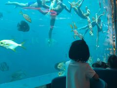 -瑞德姆美人鱼海底演艺主题餐厅(亚龙湾店)