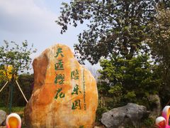 -天适樱花悠乐园