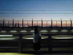 -海堤纪念公园