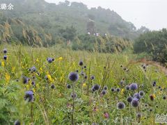 -白草畔自然风景区