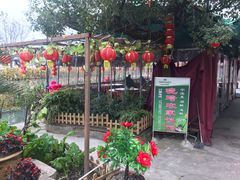 -晓琦农家菜馆·地道农家菜