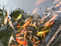 -珠海圆明新园
