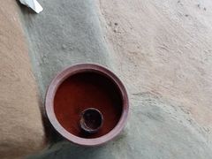 -维乐口腔医院(星海湾分院)