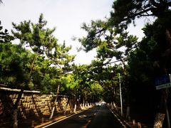 -八大关景区