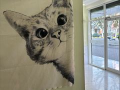 -艾吉宠物医院·疑难杂症转诊中心·猫友好(碧江路院)
