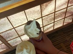 -重庆南山海昌汤都