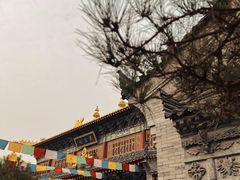 -西安市广仁寺