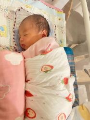 -海豚湾高端月子会所(黄浦店)