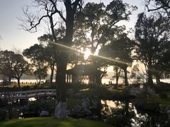 -杭州西湖柳莺里酒店·闻莺厅