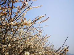-广州市流溪河国家森林公园