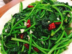 清炒苕尖-大隐隐于市私房菜(保和小区店)