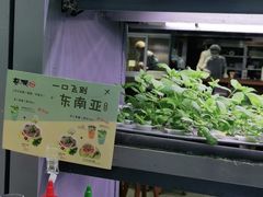 -蔡澜PHO(海岸城店)