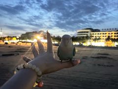 -兄弟纯天然海鲜城