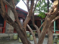 -宫事颐庭·老佛爷贵寿下午茶(颐和园店)