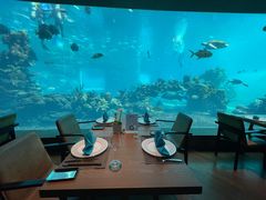 -海棠湾洲际-涛·海底餐厅·美人鱼·自助餐·海底隧道