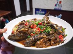 -武汉世外桃源农庄