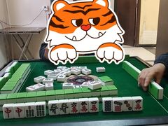 -亲兄弟真人CS团建拓展基地