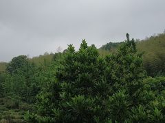 -旺山·浪头人家