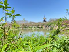 -东湖磨山景区