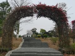 -东莞植物园