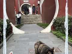 -长春观