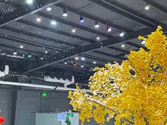 -宁波冰雪大世界(北仑区)