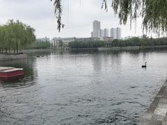 -百泉景区