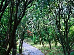 -上海吴淞炮台湾国家湿地公园