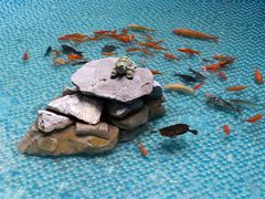 -黑龙江中医药大学附属第一医院