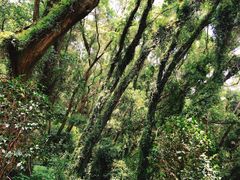 -青芝山风景名胜区