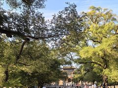 -北陵公园
