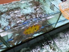 -仑头海鲜城(仑头环村南路店)