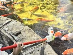 -苏州海洋馆