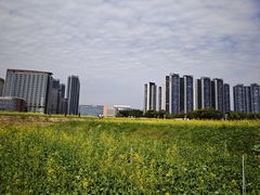 -光明小镇欢乐田园