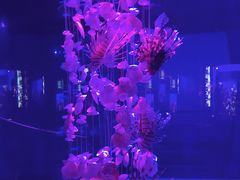 -大连圣亚海洋世界