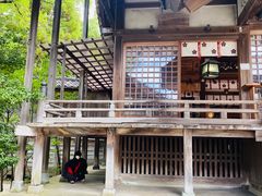 -金泽21世纪美术馆