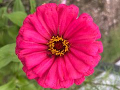 -河南大学(龙子湖校区)