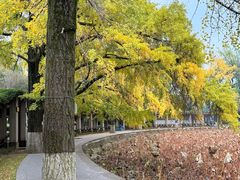 -四川大学(华西校区)