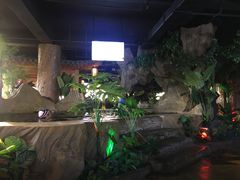 景点-汤乐汇•足道•SPA生活馆