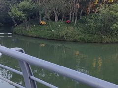-青枫公园