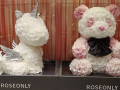 -ROSEONLY诺誓(磐基中心店)