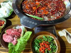 脑花-张嬢嬢老火锅(壹号店•六年店)