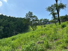 -萨尔浒风景区